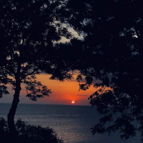Photo #7615663