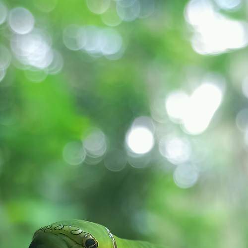 Photo #7615688