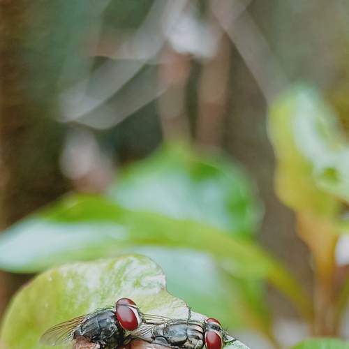 Photo #7615690