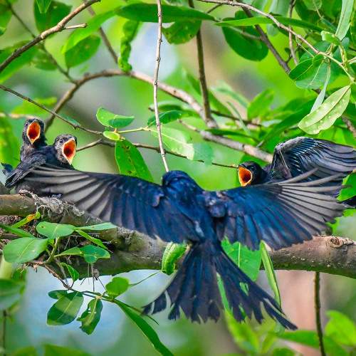 Photo #7615720