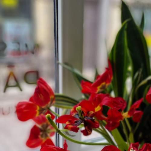 Photo #7615721