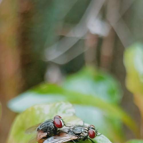 Photo #7615722