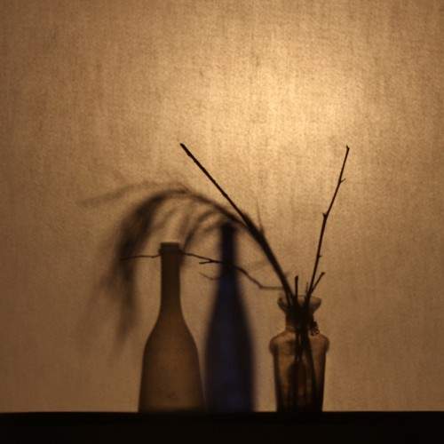 Photo #7615848