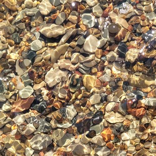 Photo #7615878
