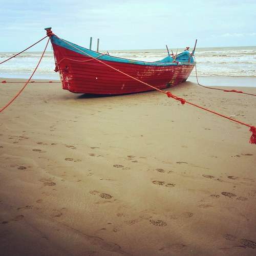 Photo #7615960