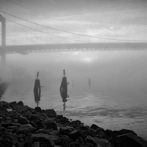 Photo #7616006