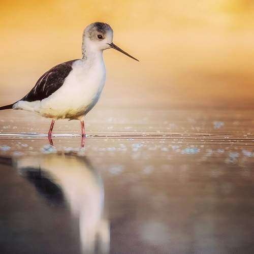 Photo #7616126