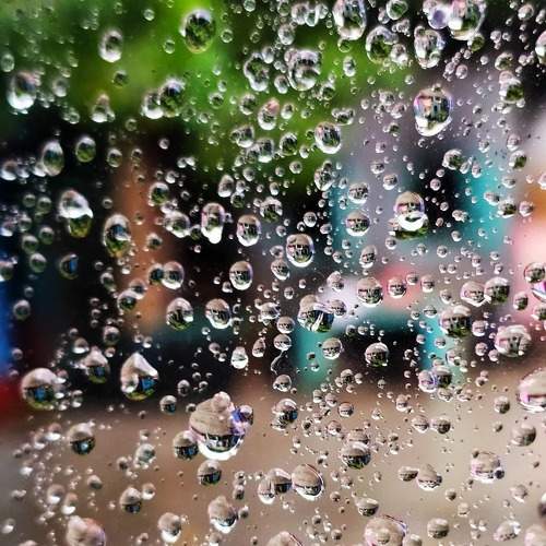 Photo #7616169