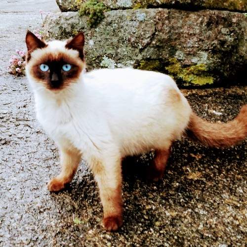 Photo #7616176