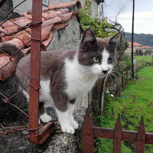 Photo #7616195