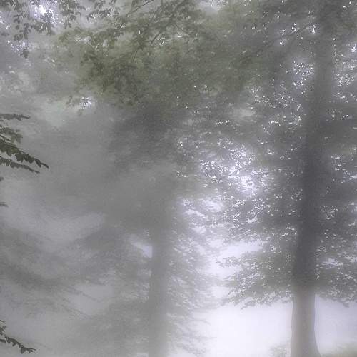 Photo #7616269