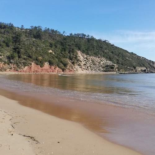 Photo #7616275
