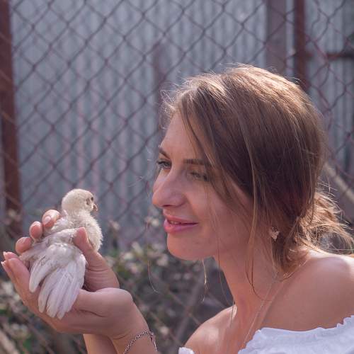 Photo #7616303