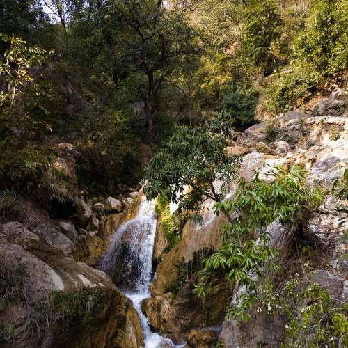 Photo #7616337