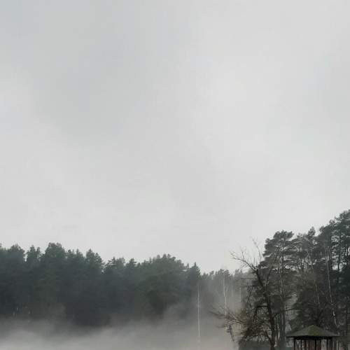 Photo #7616504