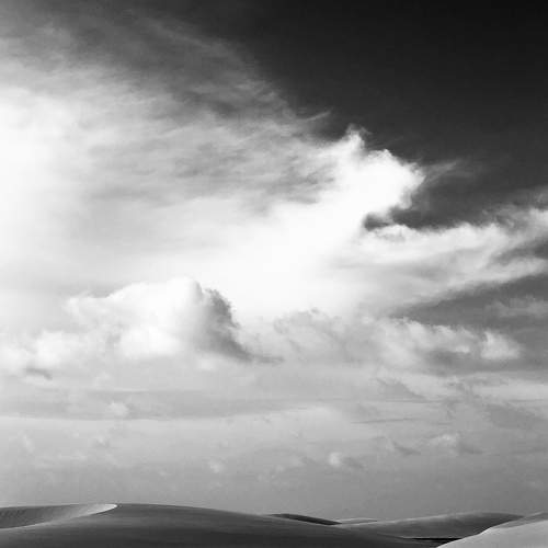 Photo #7616642