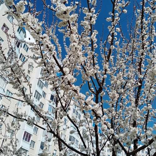 Photo #7616748