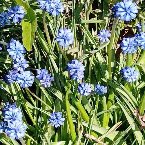 Photo #7616757