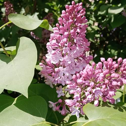 Photo #7616774