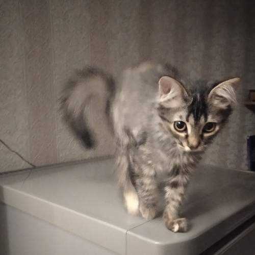 Photo #7616826
