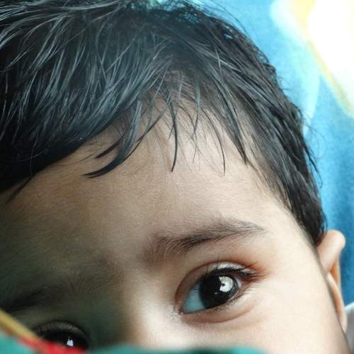 Photo #7616999