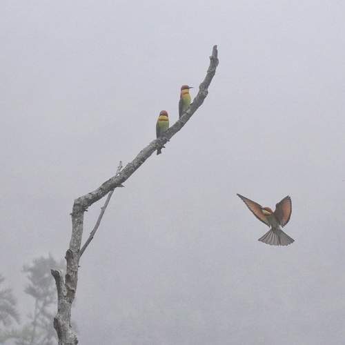 Photo #7617026