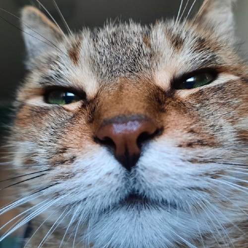 Photo #7617092