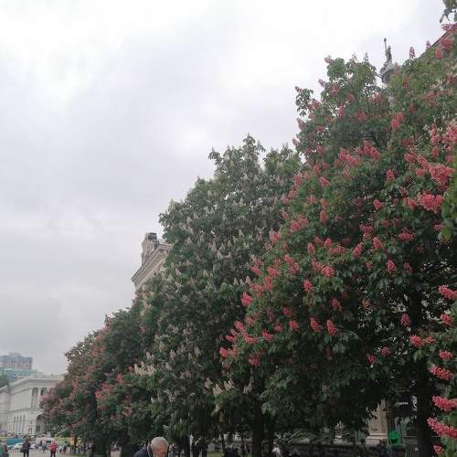 Photo #7617311