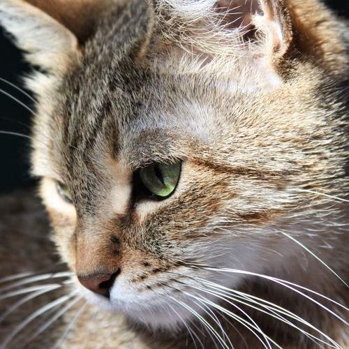 Photo #7617351