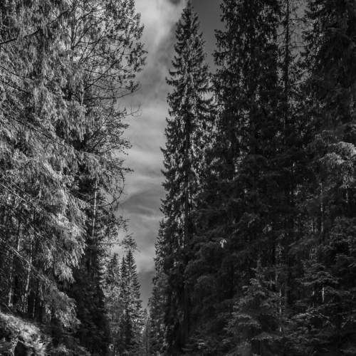Photo #7617405