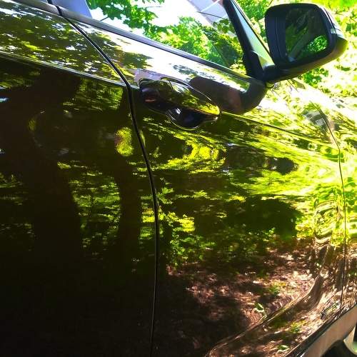 Photo #7617686