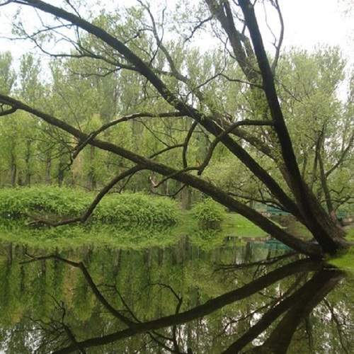 Photo #7617751