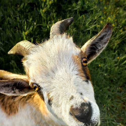 Photo #7617883