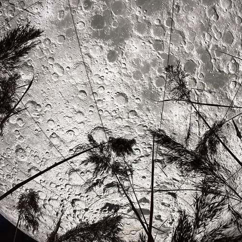Photo #7617889