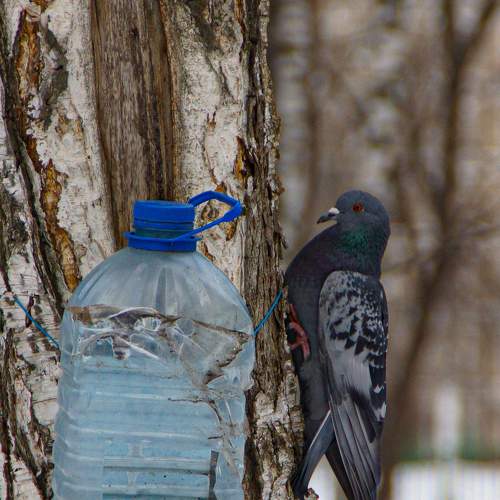 Photo #7617935