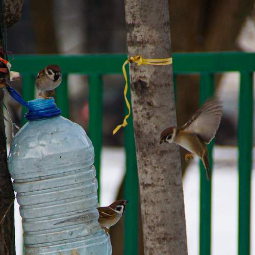 Photo #7617936