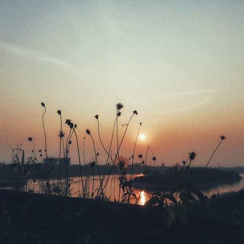 Lonely sunset