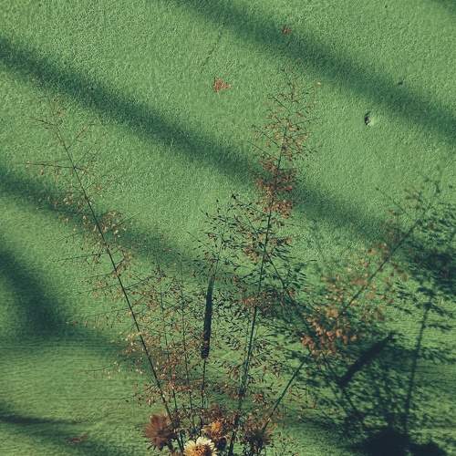 Photo #7617966