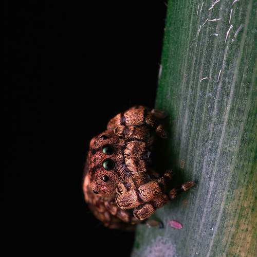 Photo #7617991