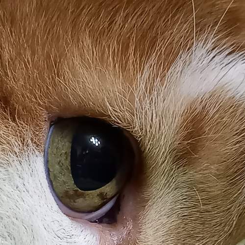 Photo #7618114