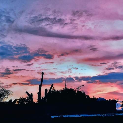 Photo #7618283