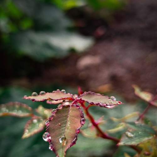 Photo #7618390