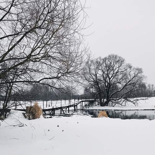 Photo #7618547