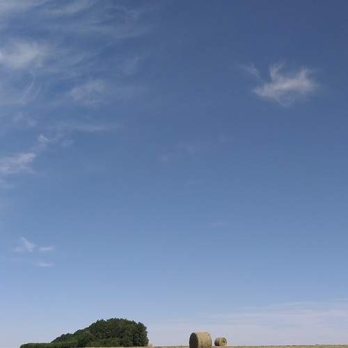 Photo #7618548