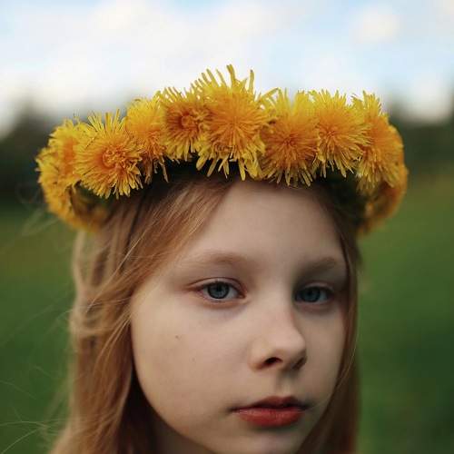 Photo #7618665
