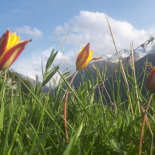 Photo #7618735