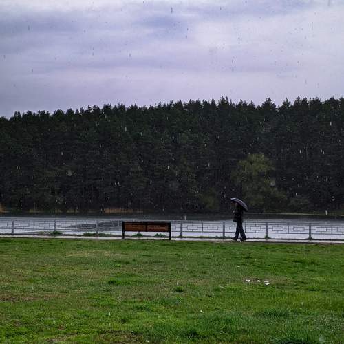Photo #7618739