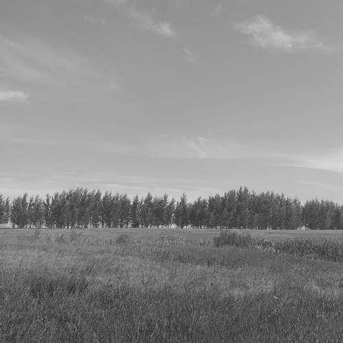 Photo #7618748