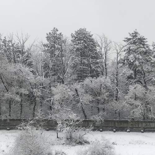 Photo #7618750
