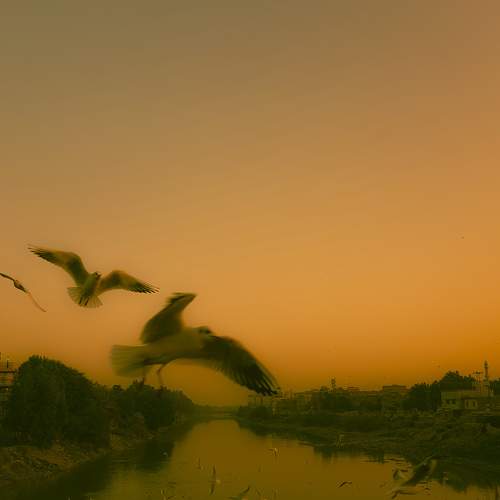 Photo #7619101